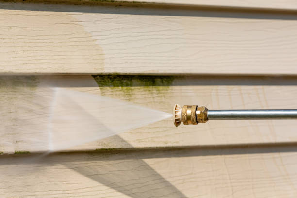 Best Affordable Power Washing  in Bosque Farms, NM