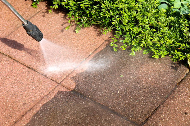 Best Roof Pressure Washing  in Bosque Farms, NM